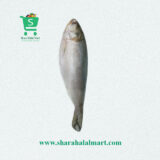 Hilsha Fish Whole (1kg – 1.2kg)